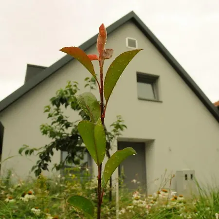 Holiday home Vacation K22 *